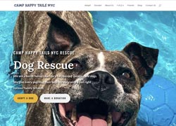 Dog Rescue Website Development NYC